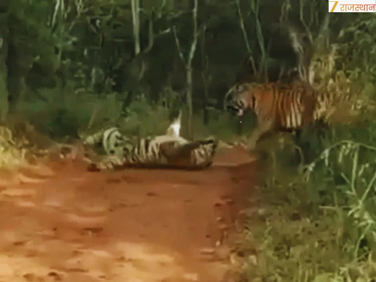 संघर्ष के दो मुख्य कारण