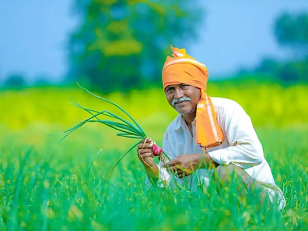 क्या दिवाली से पहले किसानों के खाते में आएंगे 2000 रुपये? पीएम किसान निधि की 21वीं किश्त पर बड़ा अपडेट!