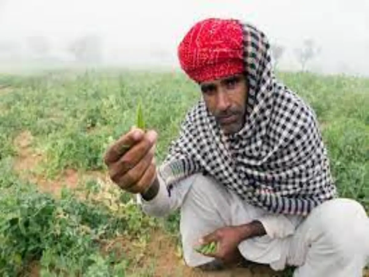 Rajasthan Government Scheme