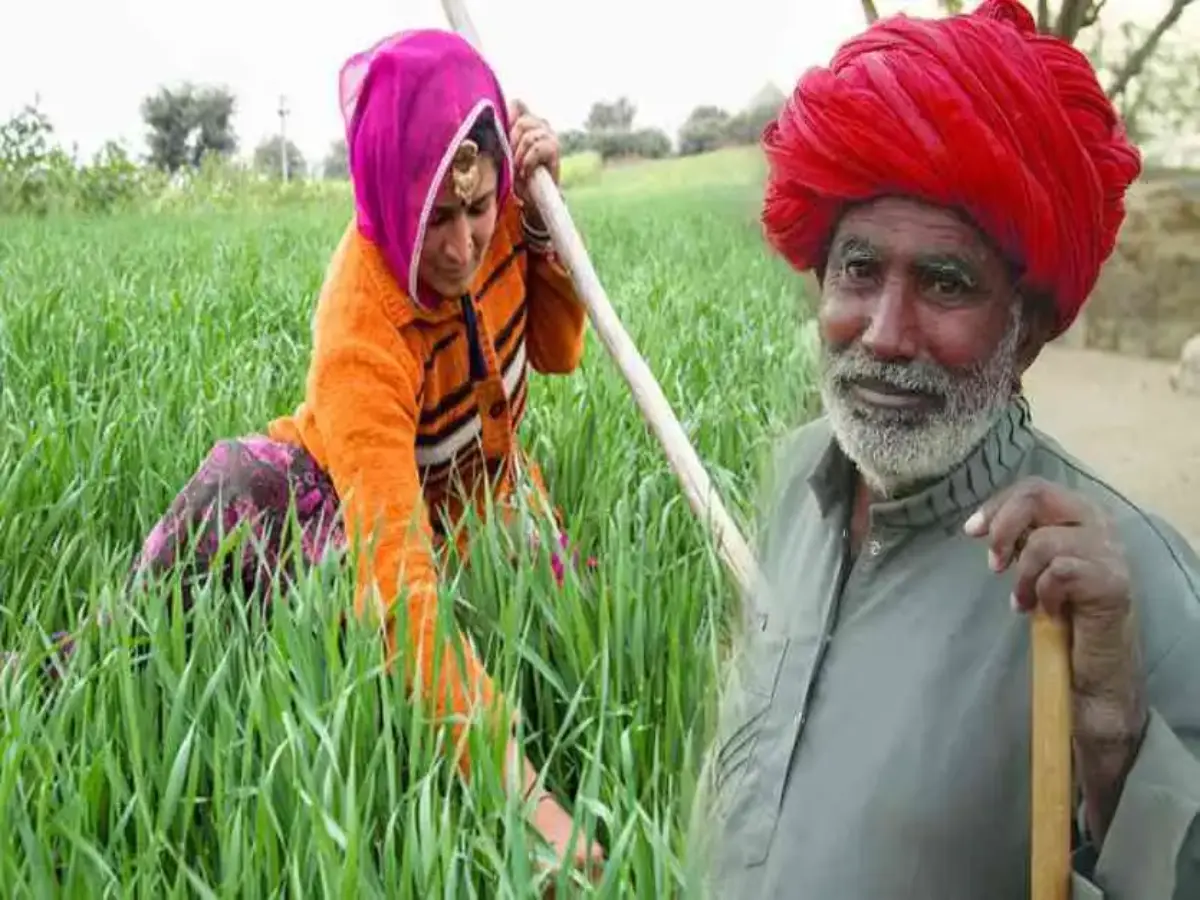 Rajasthan Government Scheme