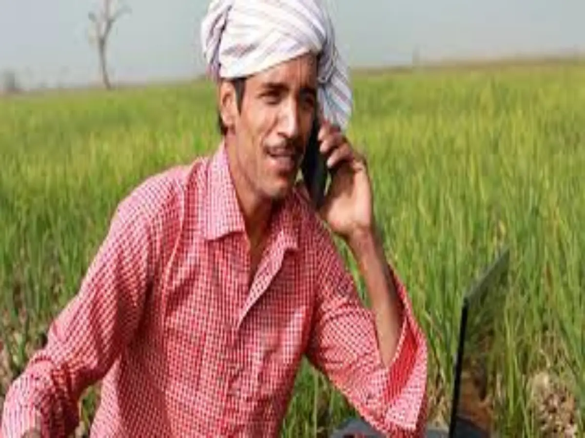 Rajasthan Government Scheme