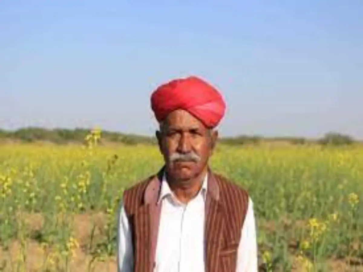 Rajasthan Government Scheme