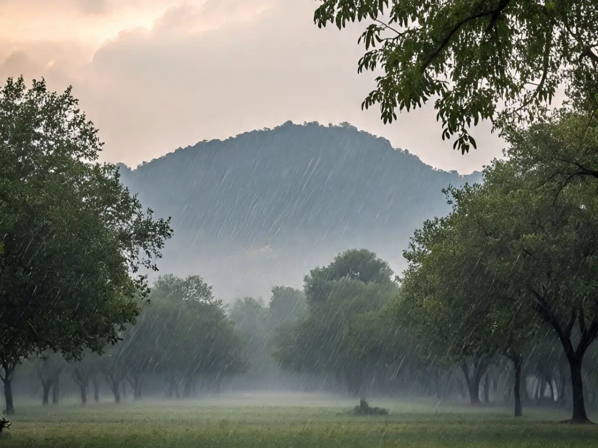 Rajasthan Weather Update