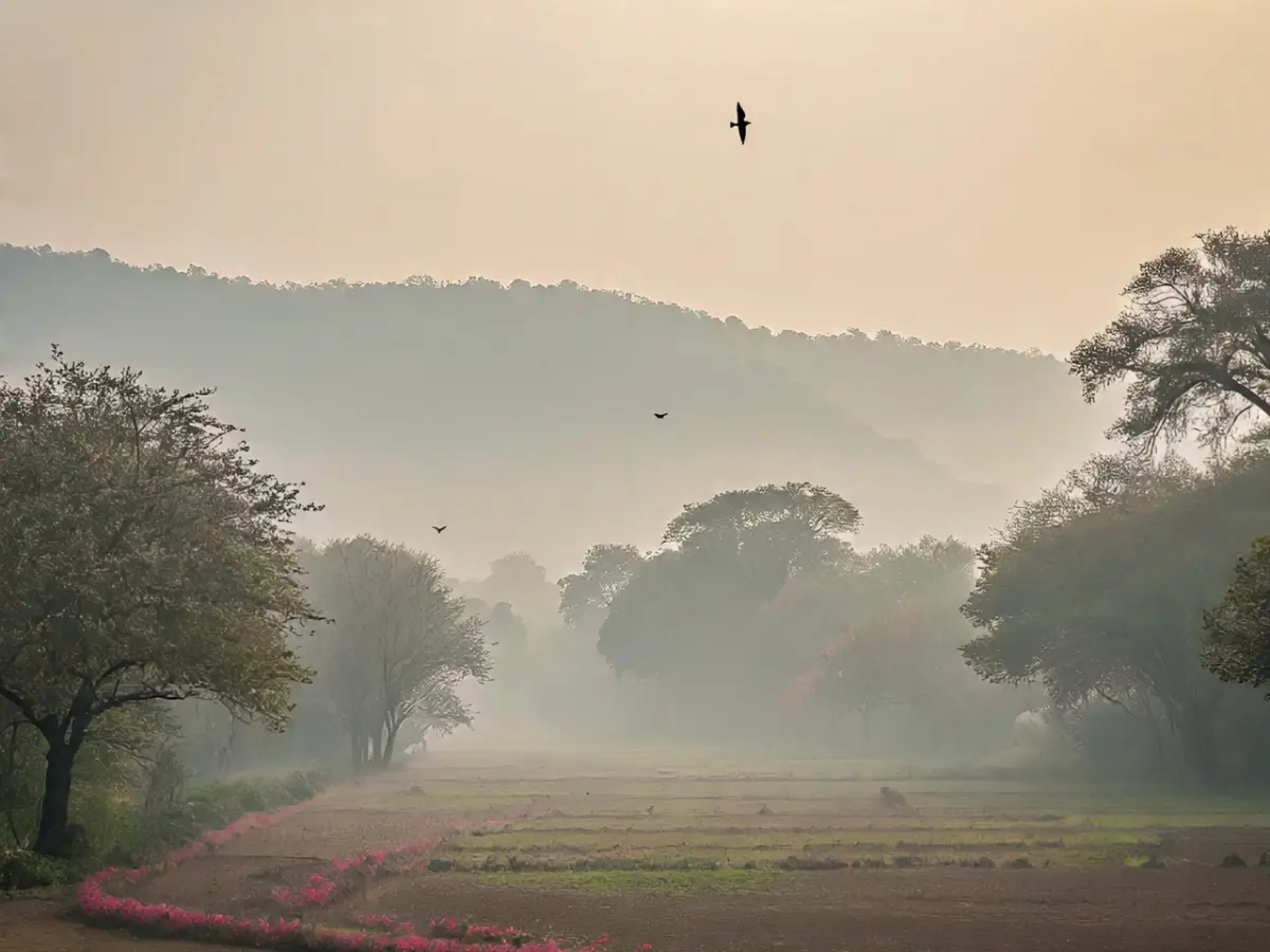 Rajasthan Weather Update