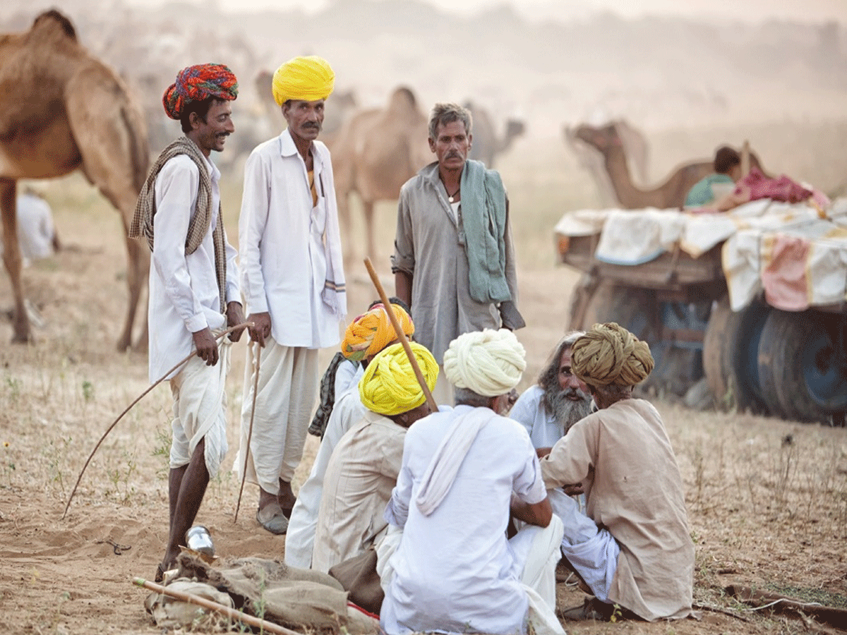 Pushkar Mela 2025