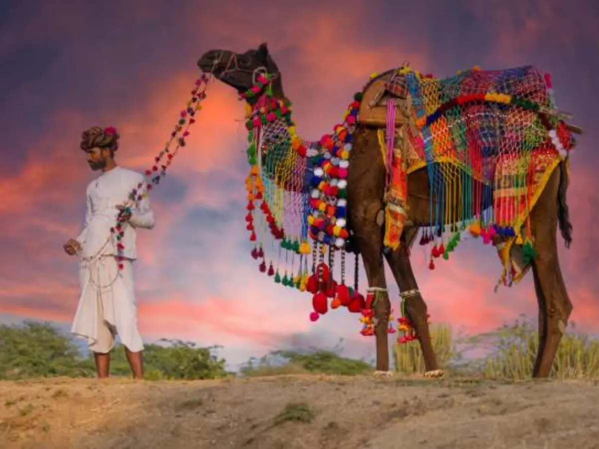 Jalore News: चितलवाना डावल में दीपावली पर ऊंट-घुड़ दौड़, रियासतकालीन परंपरा बनी आकर्षण