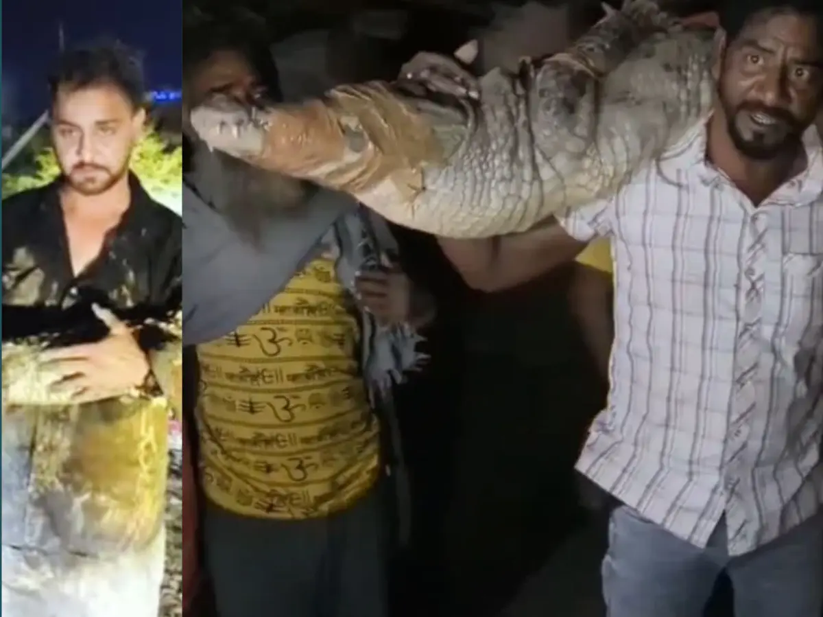 पहले डंडों से पीटा फिर मुंह पर चिपटा दी CELLO टेप, मगरमछ के साथ फोटोशूट करवाकर फॉरेस्ट डिपार्टमेंट को दिखाया ठेंगा