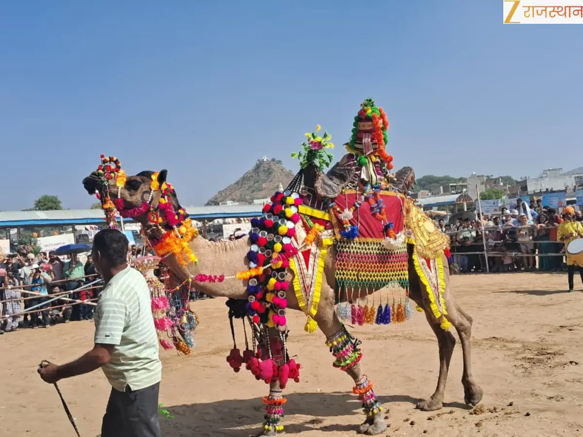 Pushkar Mela 2025
