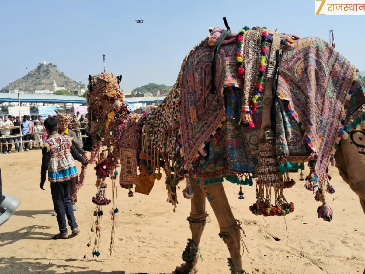 Pushkar Mela 2025