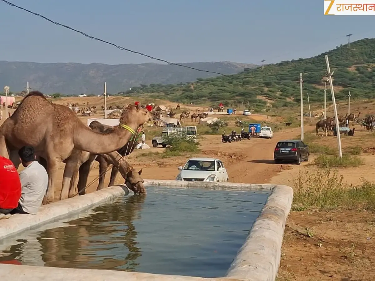 Pushkar Mela 2025