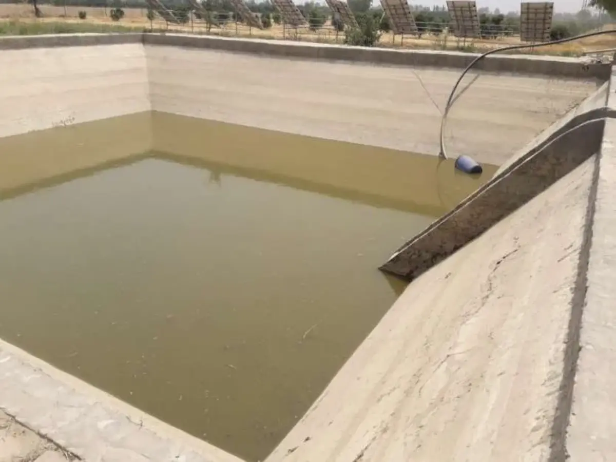 Rajasthan Government Scheme