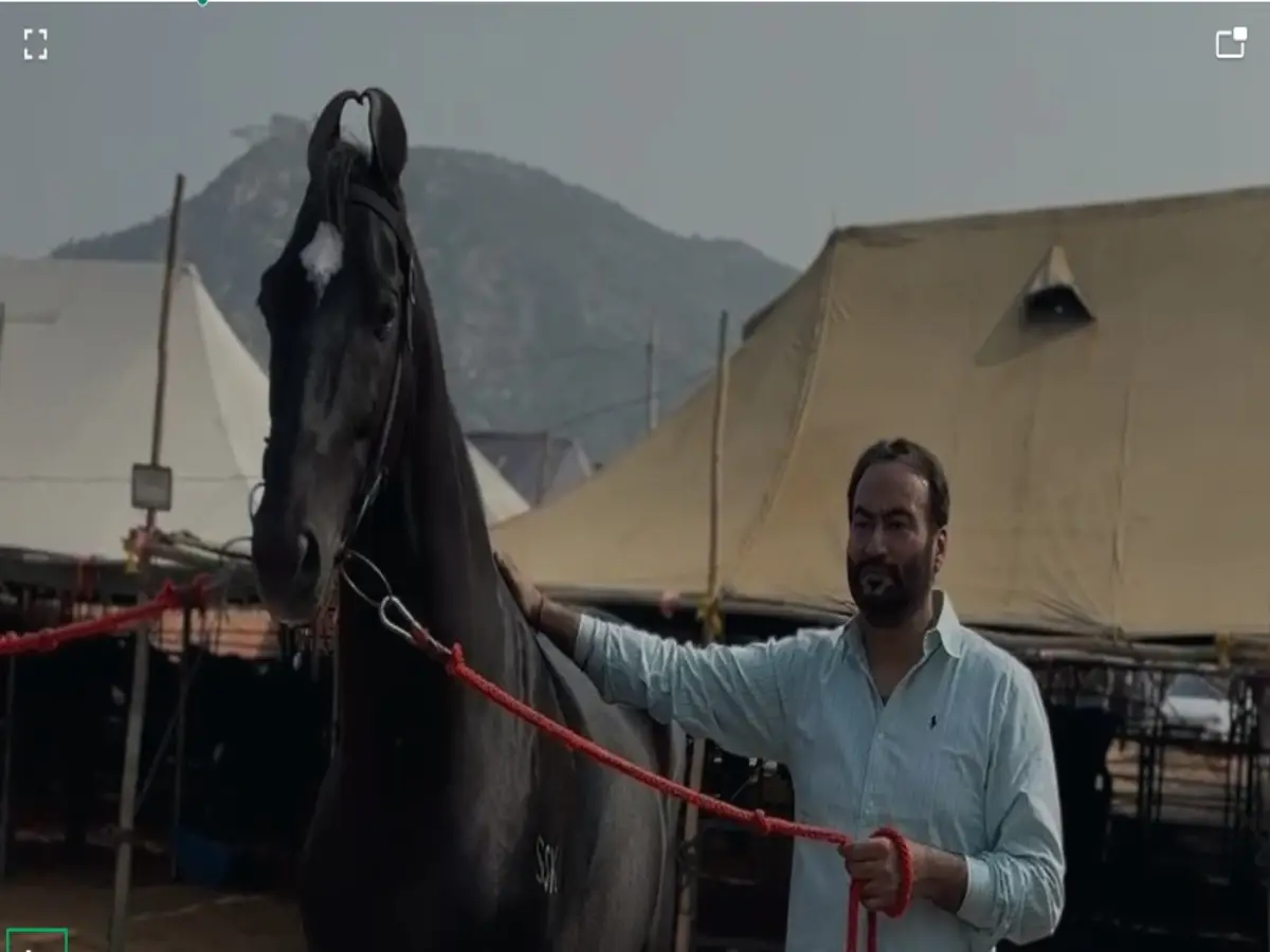 15 Crores Horse
