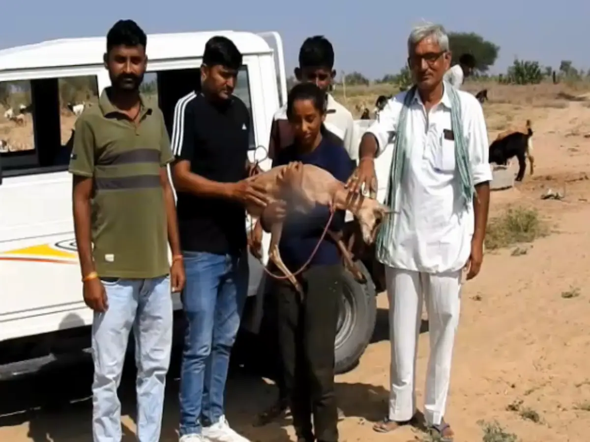 हिरण के बच्चे पर आया जैसलमेर की इस छोरी का दिल, तो फिर छोड़ दी पढ़ाई!