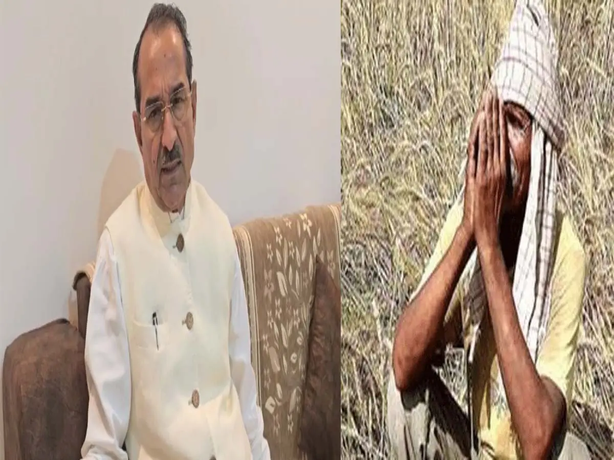 बेमौसम बारिश से फसल खराबा, बीजेपी अध्यक्ष की अपनी सरकार से गिरदावरी की मांग