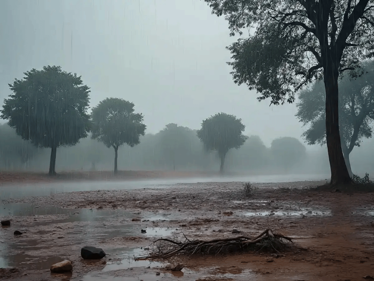Udaipur Weather Update