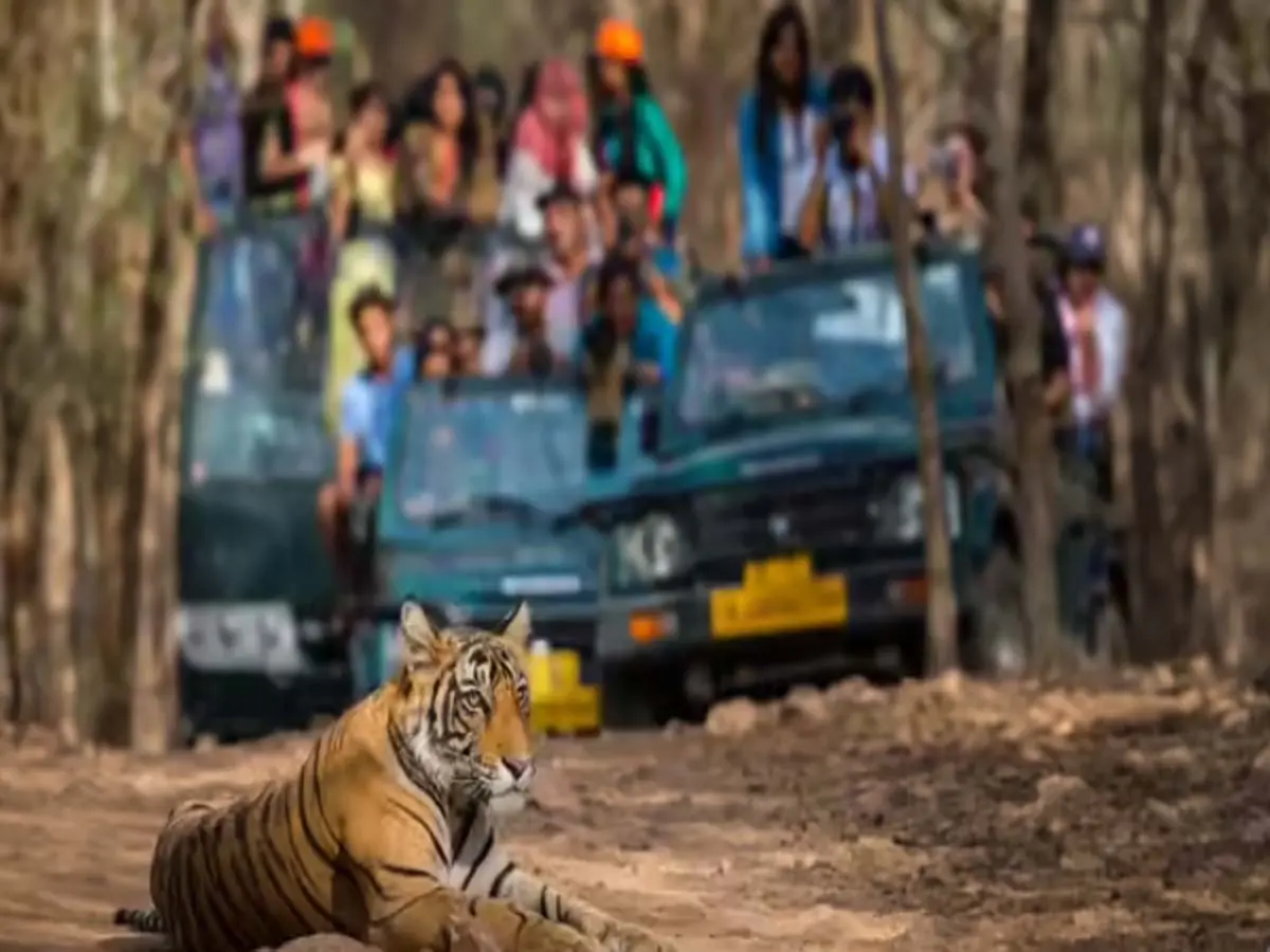Nahargarh Biological Park closed