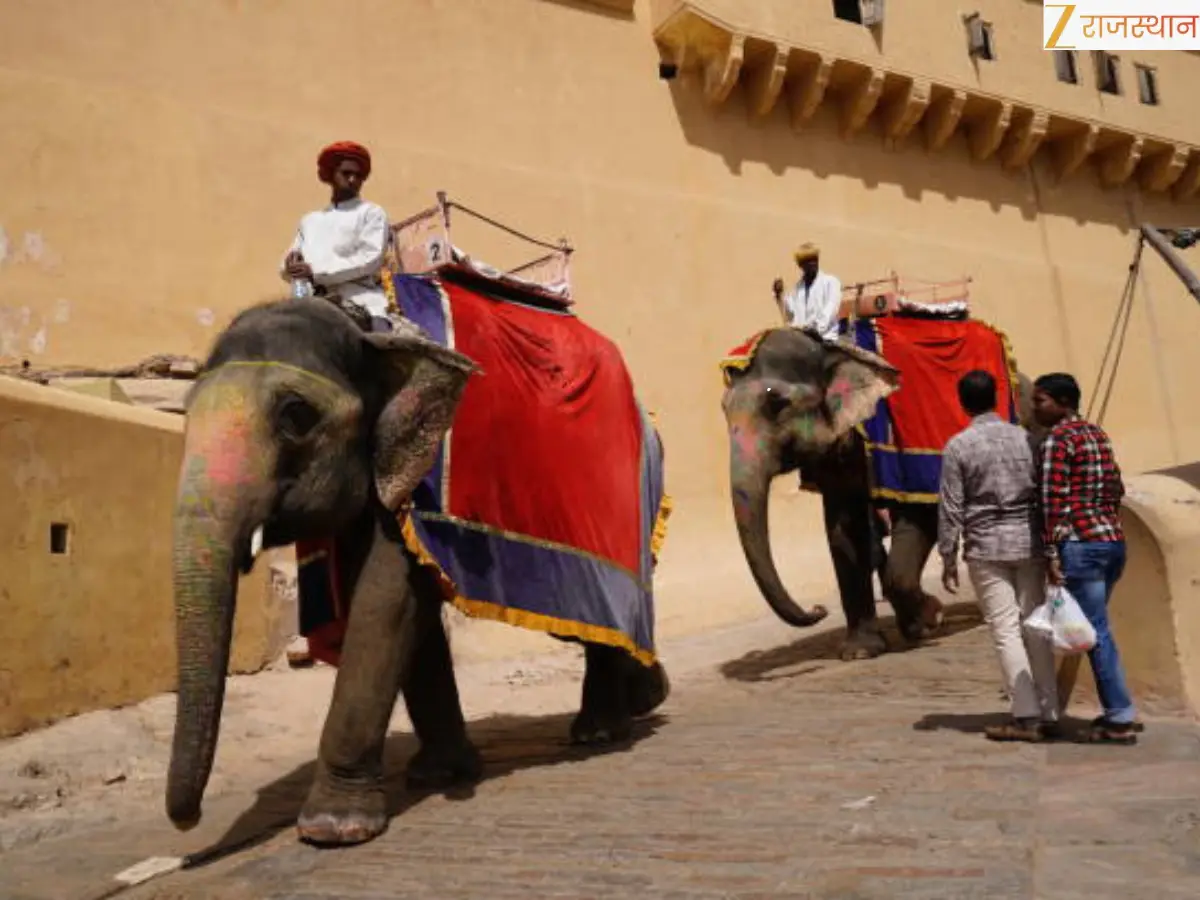 Jaipur Haathi Gaon