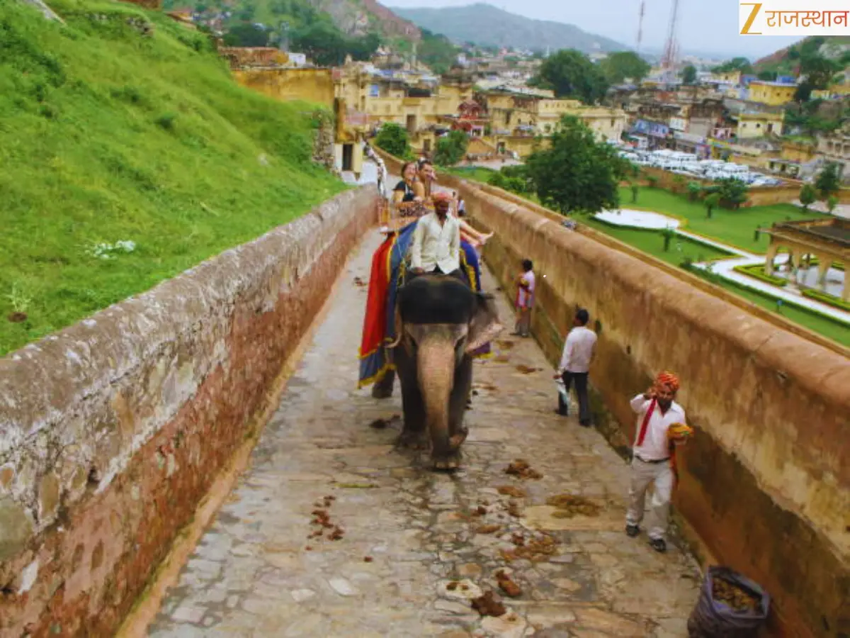 Jaipur Haathi Gaon