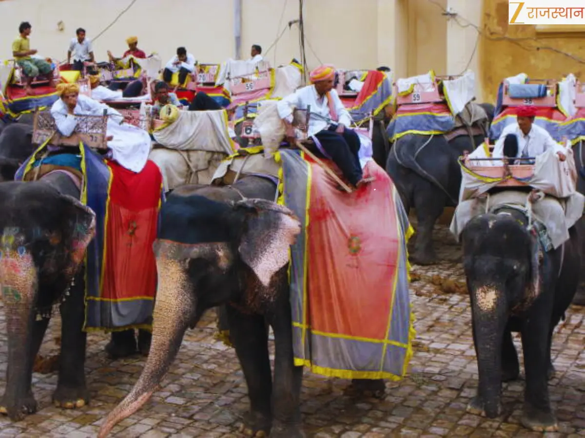 Jaipur Haathi Gaon