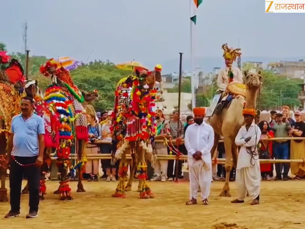पुष्कर मेला में ऊंटों ने दिखाया जलवा! नजारे देख विदेशी भी हुए दीवाने