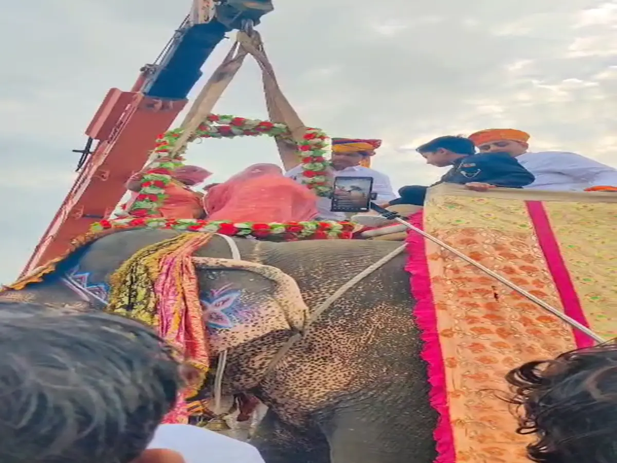क्रेन पर बैठी बहन तो हाथी पर भाई, वीडियो हुआ वायरल! राजस्थान का ये मायरा बना चर्चा का विषय