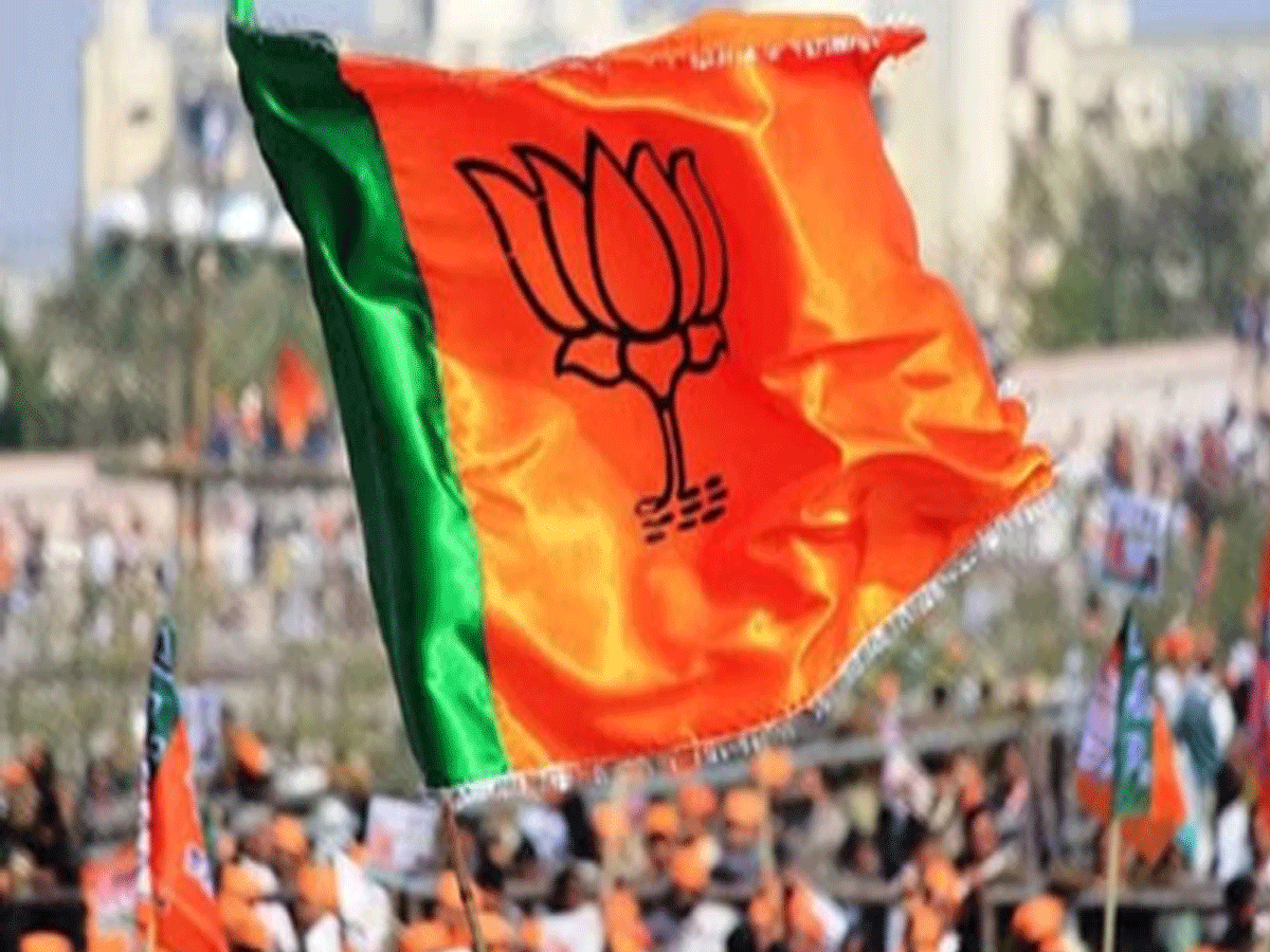 Anta Assembly by Election