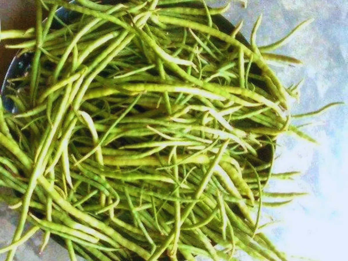 क्या आप जानते हैं काजू-बादाम के दाम में मिलती है राजस्थान की ये हरी सब्जी ?