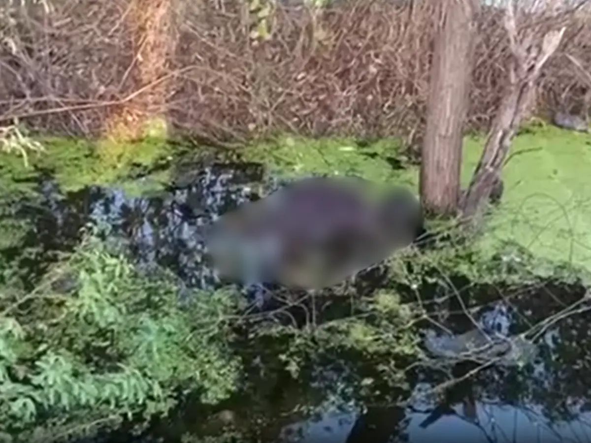 सवाई माधोपुर में नाले में मिला शख्स का शव, इलाके में फैली सनसनी