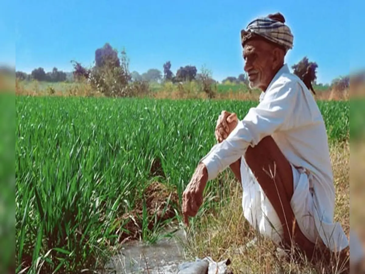 Compensation For Damage Crops