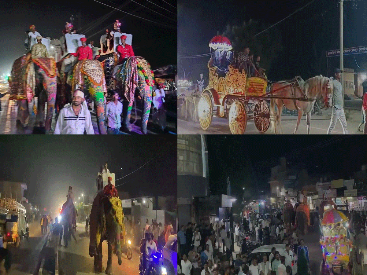 जोधपुर में हाथी-घोड़ों और लग्जरी गाड़ियों के साथ निकली शाही बिंदोली, देखने के लिए छतों पर दौड़ पड़े लोग