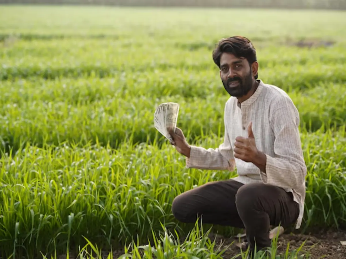 सर्दियों में खेती से करनी है मोटी कमाई, तो किसान भाइयों को ये 3 फसलें देंगी फायदा!