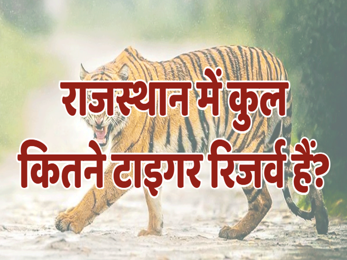 Do You Know: क्या आप जानते हैं कि राजस्थान में कुल कितने टाइगर रिजर्व हैं?