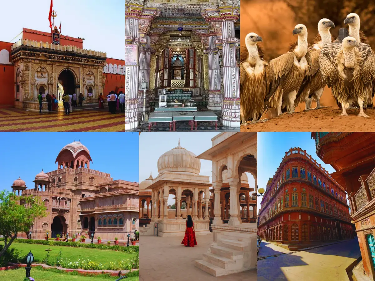 सर्दियों में बीकानेर की ये 8 जगहें,खूबसूरती ऐसी किआपकी ट्रिप बन जाएगी यादगार, देखें फोटोज