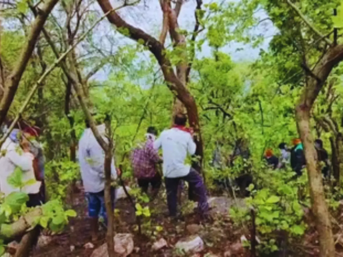 बांसवाड़ा के जंगल में मिले युवक युवती के शव, जांच में जुटी पुलिस बांसवाड़ा के जंगल में मिले युवक युवती के शव, जांच में जुटी पुलिस