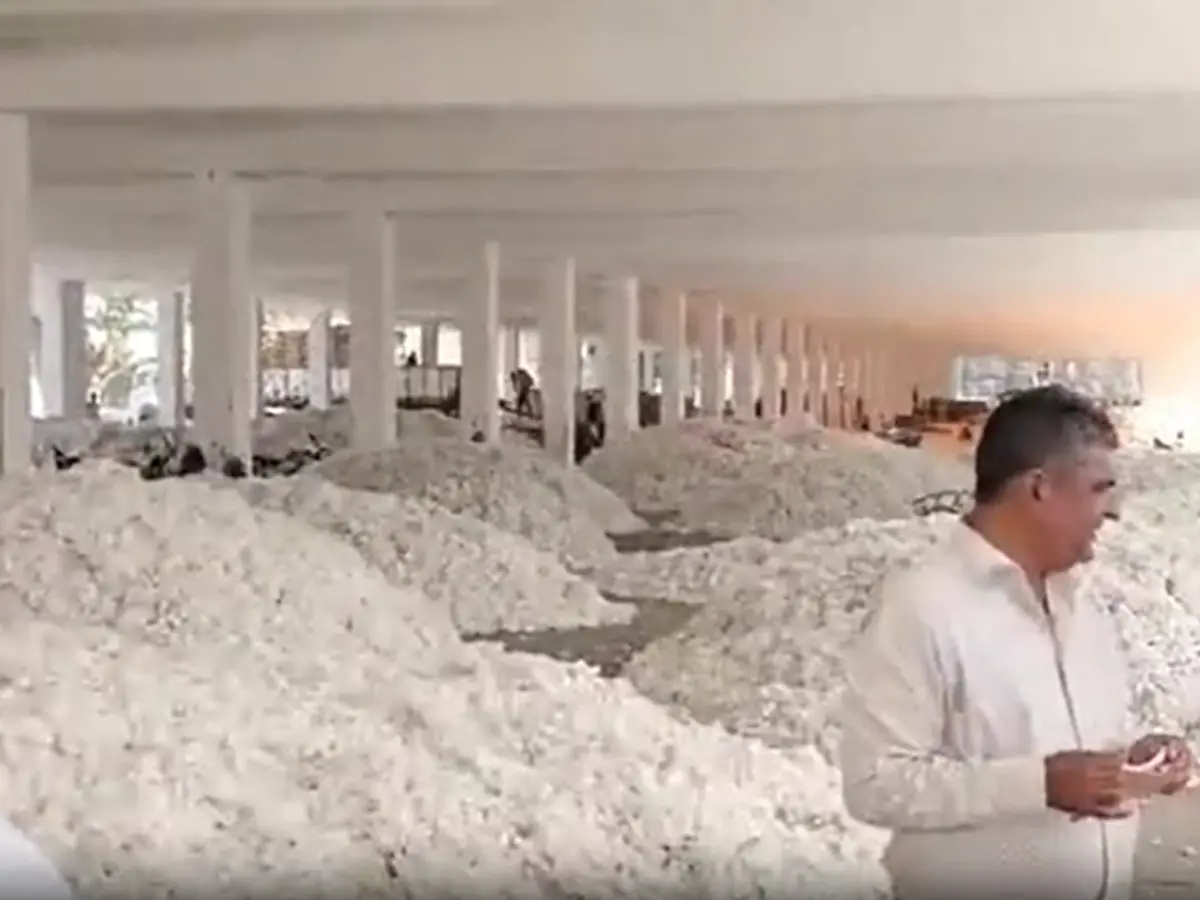 बिजयनगर मंडी में कपास की आवक से बहार, बारिश ने बिगाड़ी गुणवत्ता और दाम