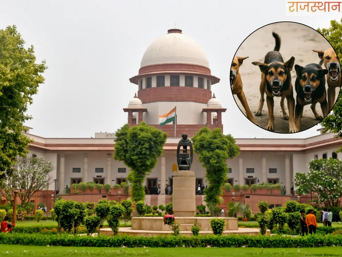 राजस्थान में स्कूल-अस्पताल होंगे Dog-Free Zone, DLB ने जारी की नई SOP