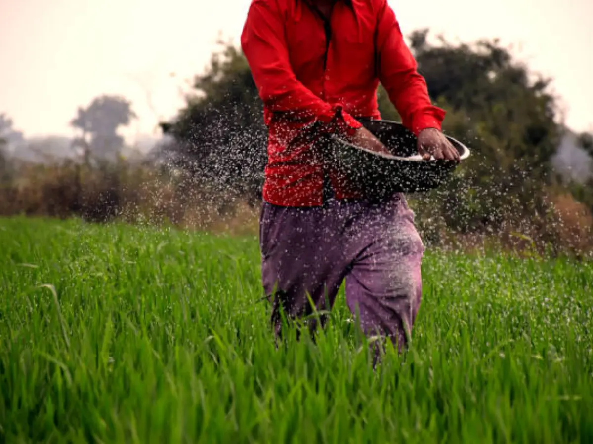 PM Kisan 21st Installment: राजस्थान के इन किसानों को नहीं मिलेगा पीएम किसान की 21वीं किस्त का पैसा, चेक कर लें कहीं आप भी तो नहीं है शामिल?