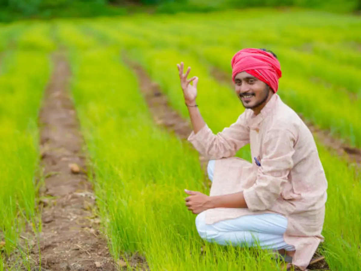 राजस्थान के 66.62 लाख किसानों किसानों को मिलेगा लाभ