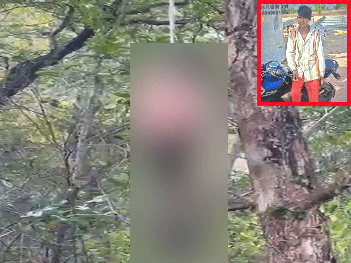 कोटा के जंगल में दिल दहला देने वाला खुलासा! पेड़ से लटका मिला सड़ा-गला शव, इलाके में सनसनी