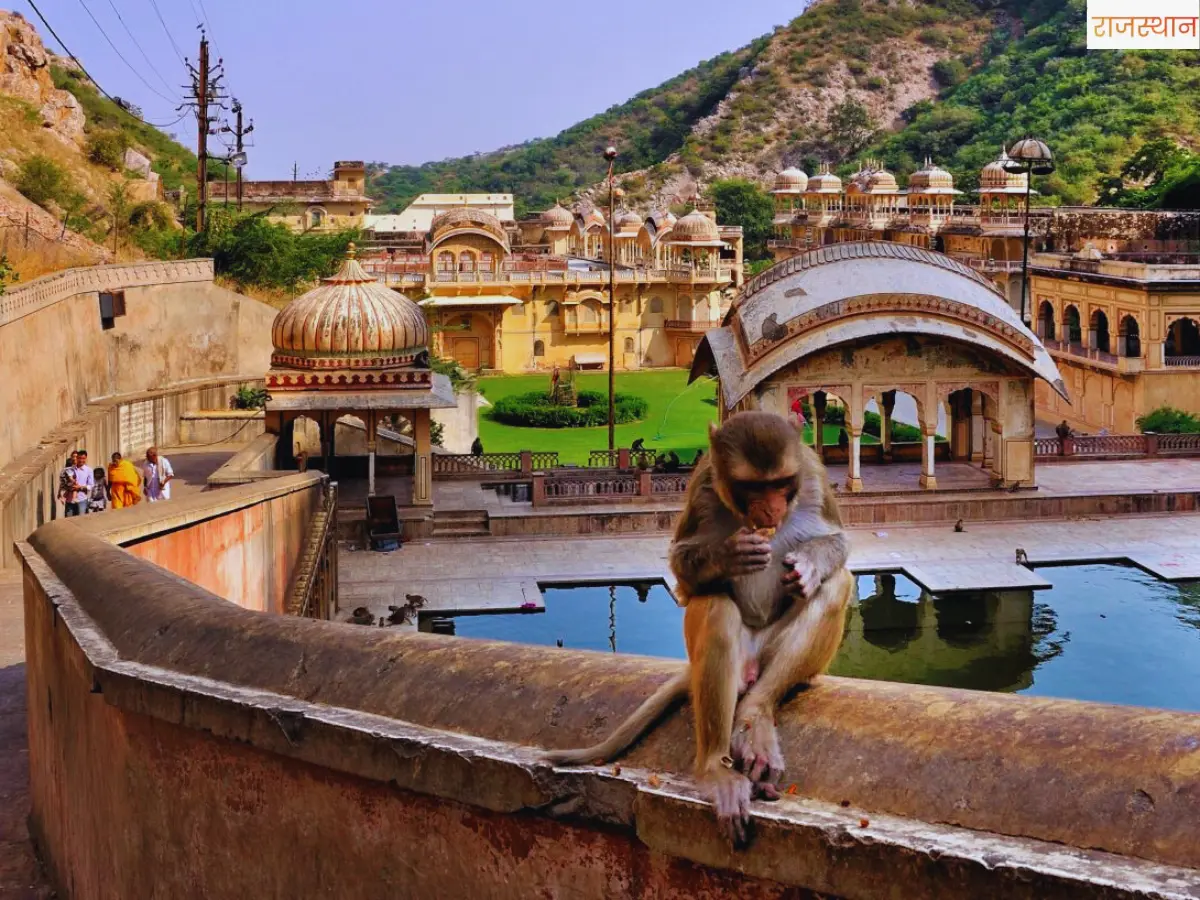 जयपुर का प्राचीन तीर्थ स्थल गलता जी,पवित्र कुंड और सूर्य मंदिर की चढ़ाई आपको मंत्रमुग्ध कर देगी!