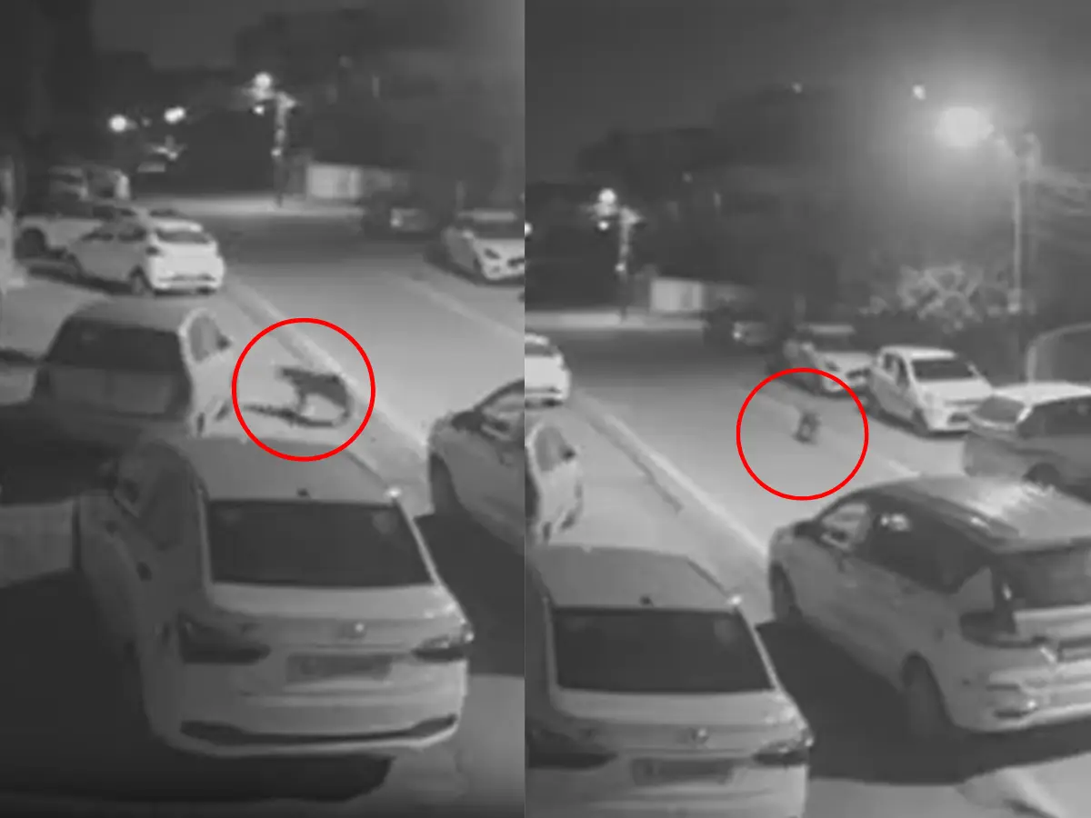 जयपुर के पानीपेच में दिखा लेपर्ड, CCTV में कैद हुई मूवमेंट
