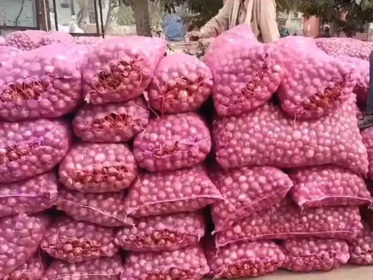 अलवर में प्याज के भाव देख किसानों की आँखों में आए आंसू, 500 से 1000 करोड़ के नुकसान का अनुमान