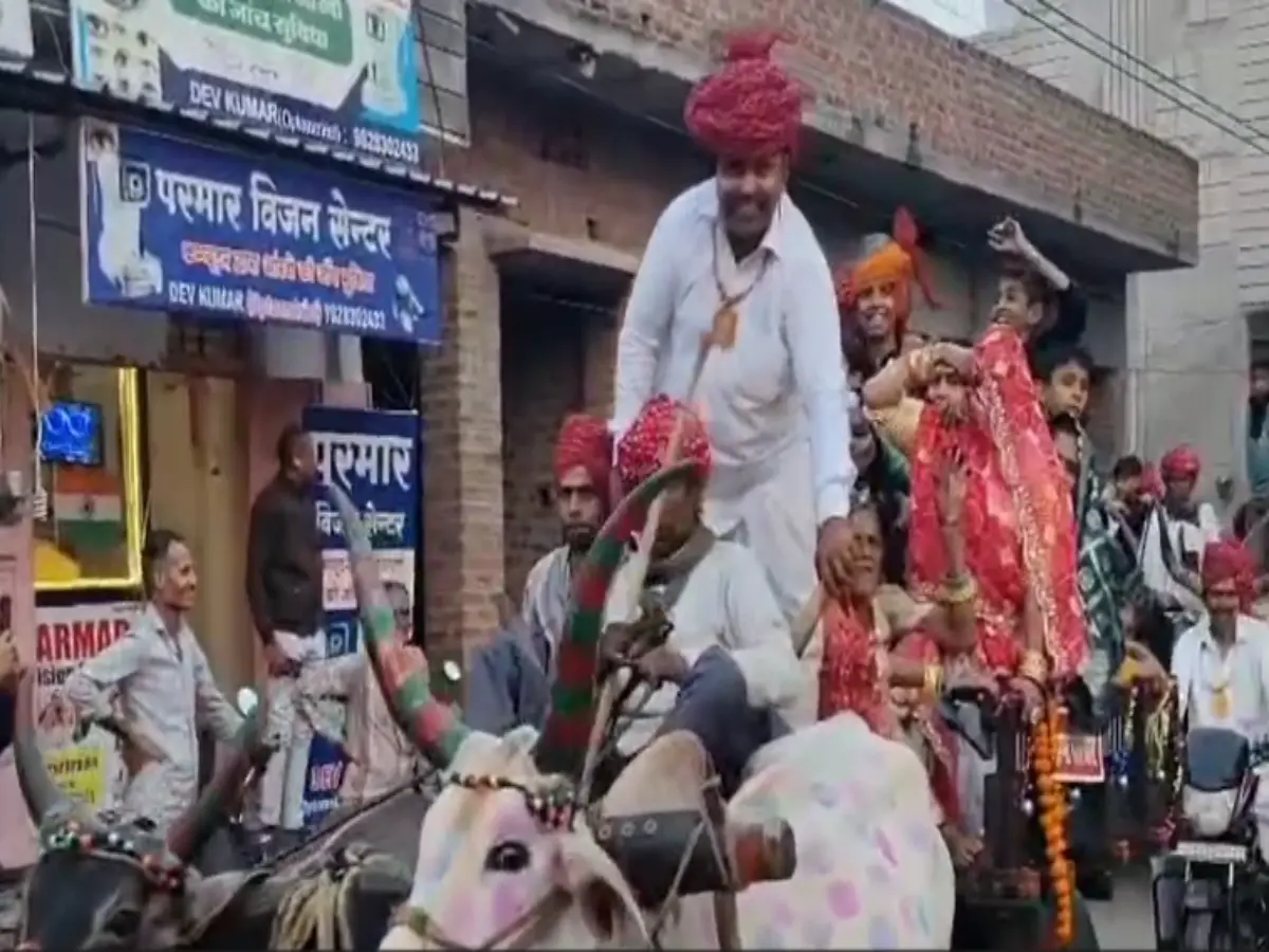 राजस्थान की अनूठी शादी, 10 बैलगाड़ियों के साथ बारात लेकर निकला दूल्हा राजस्थान की अनूठी शादी, 10 बैलगाड़ियों के साथ बारात लेकर निकला दूल्हा