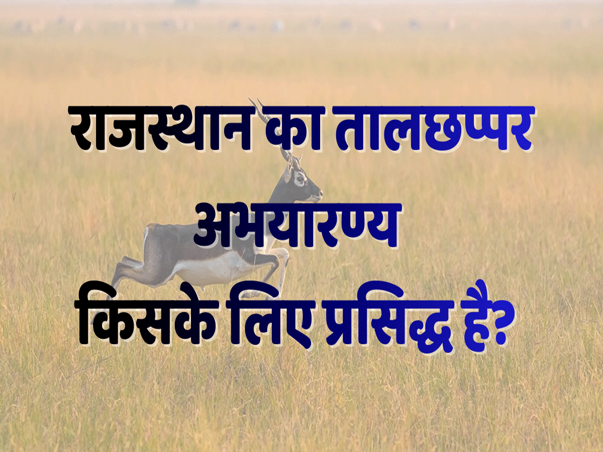 Rajasthan Trending Quiz: राजस्थान का तालछप्पर अभयारण्य किसके लिए प्रसिद्ध है?