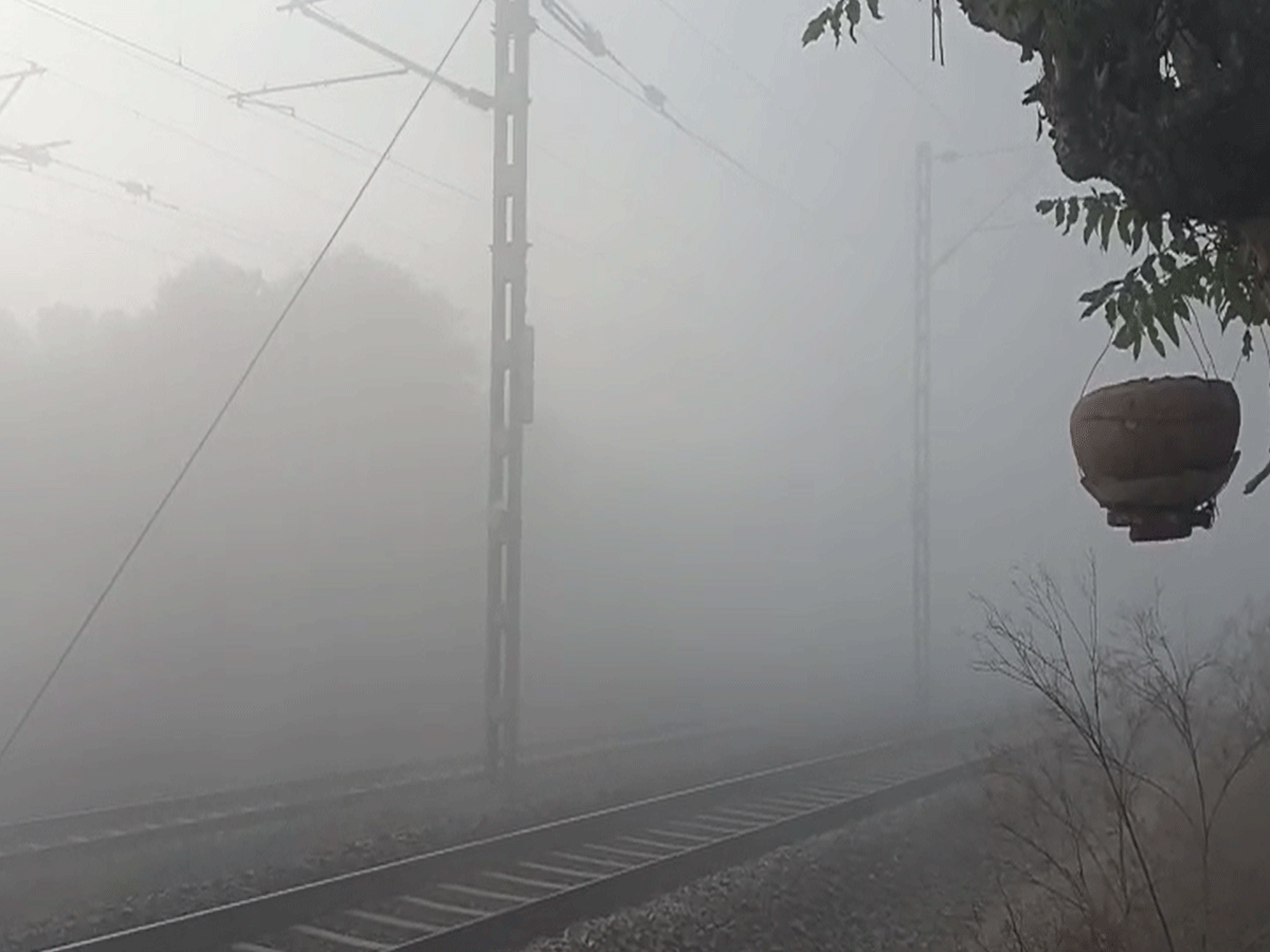 Sikar Weather Update: कोहरे की चादर में लिपटा सीकर, ठंड के मारे लोग हुए परेशान