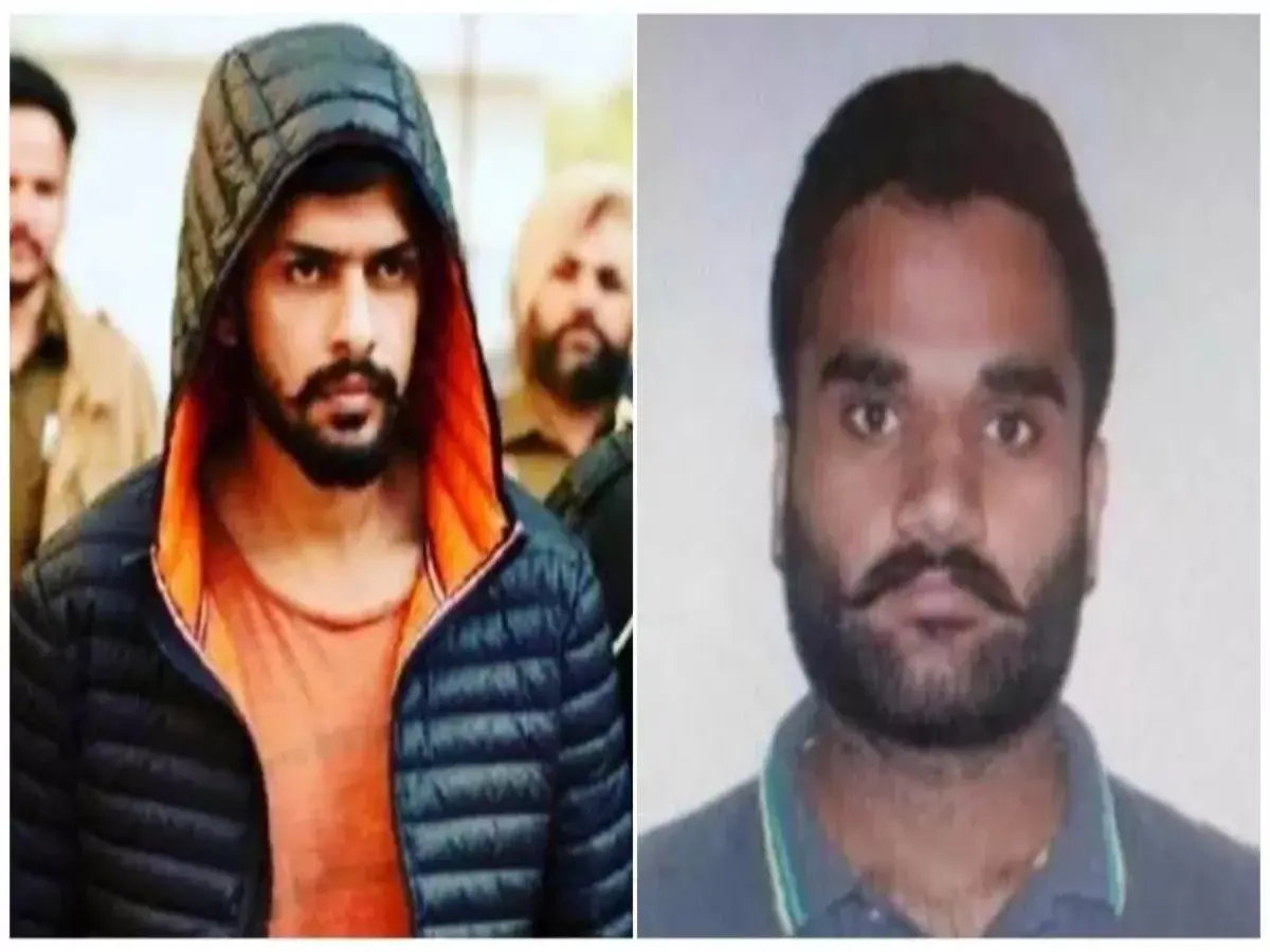 चंडीगढ़ में गैंगस्टर पेरी की हत्या के तार लॉरेंस गैंग से जुड़े? गोल्डी बराड की धमकी की बाद सुरक्षा एजेंसी अलर्ट चंडीगढ़ में गैंगस्टर पेरी की हत्या के तार लॉरेंस गैंग से जुड़े? गोल्डी बराड की धमकी की बाद सुरक्षा एजेंसी अलर्ट