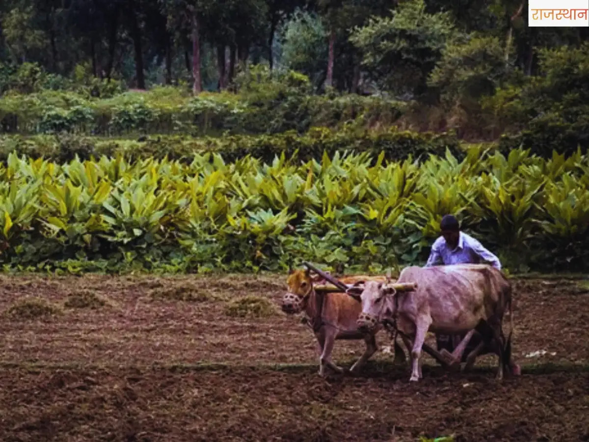 PM Kisan 22nd installment