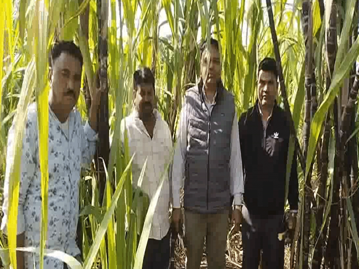 प्रतापगढ़ के किसानों के लिए बड़ा मौका! आधुनिक खेती करने वालों को मिलेगा सम्मान, जानें कैसे करें आवेदन प्रतापगढ़ के किसानों के लिए बड़ा मौका! आधुनिक खेती करने वालों को मिलेगा सम्मान, जानें कैसे करें आवेदन
