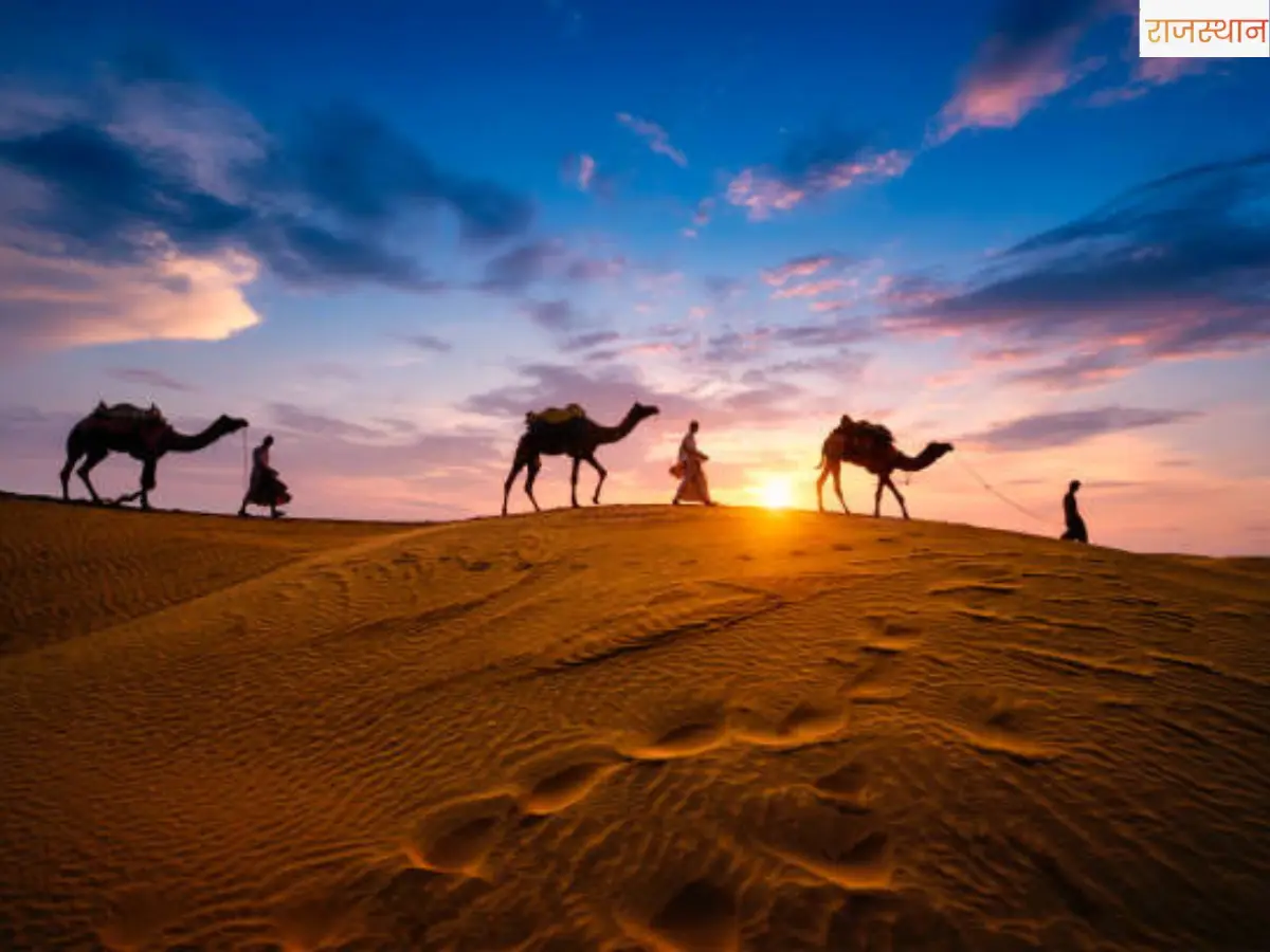 क्या आप जानते हैं? ऊंट के पैरों में कितनी ऊंगलियां होती हैं, जवाब उड़ा देंगे आपके होश