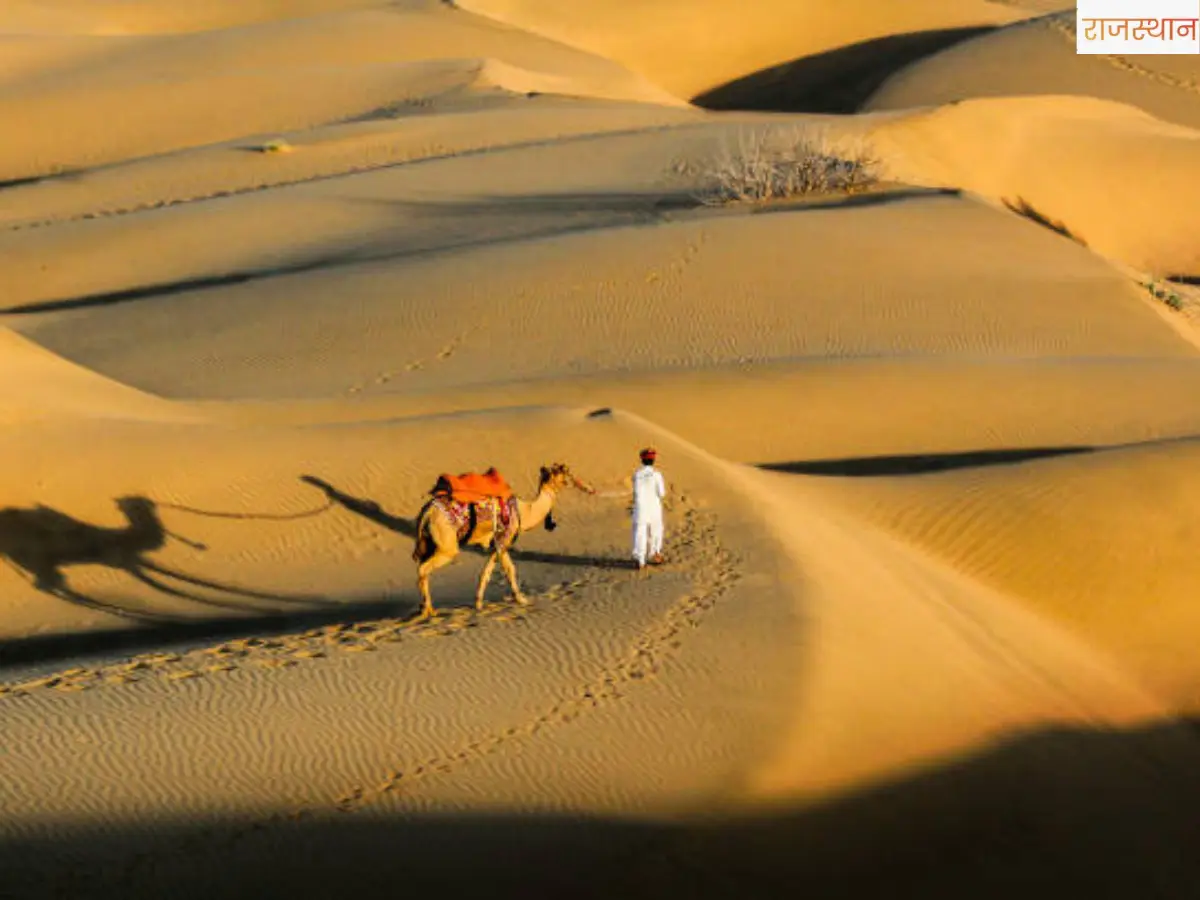 Rajasthan: Camel Ship of Desert